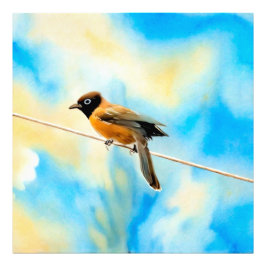 Een eenzame kleurrijke vogel foto afdruk