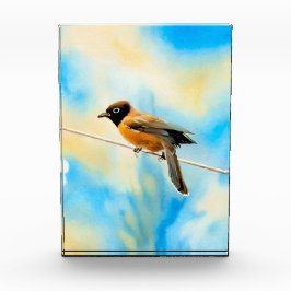 Een eenzame kleurrijke vogel fotoblokken