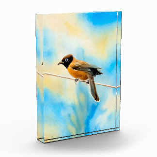 Een eenzame kleurrijke vogel fotoblokken