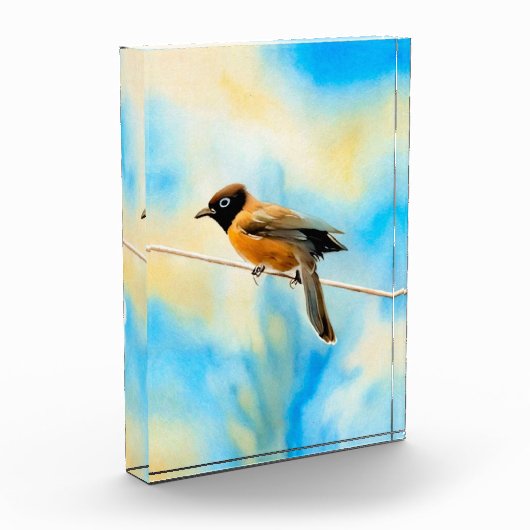 Een eenzame kleurrijke vogel fotoblokken (Links)