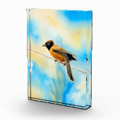 Een eenzame kleurrijke vogel fotoblokken (Rechts)