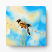 Een eenzame kleurrijke vogel