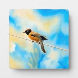 Een eenzame kleurrijke vogel fotoplaat