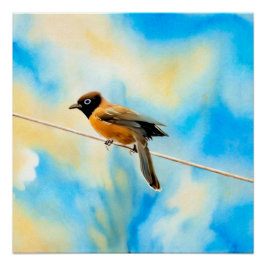 Een eenzame kleurrijke vogel perfect poster