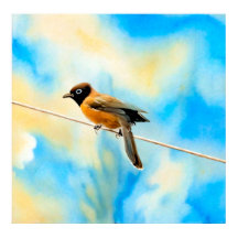 Een eenzame kleurrijke vogel