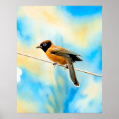 Een eenzame kleurrijke vogel poster (Voorkant)