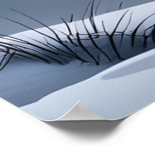 Een eenzame wolf op de jacht poster (Hoek)