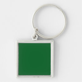 Een effen groene achtergrond vult de hele afbeeldi sleutelhanger
