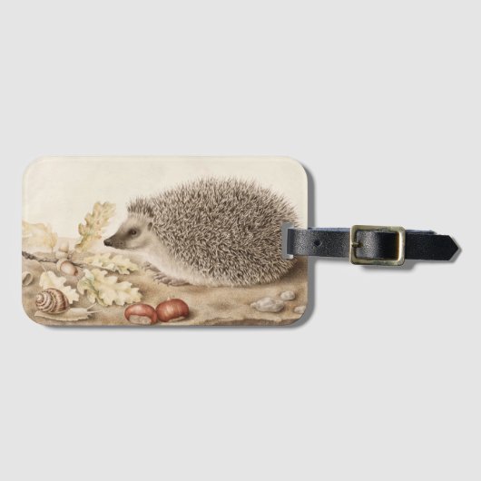 Een egel in een landschap door Giovanna Garzoni Bagagelabel (Voorkant (horizontaal))