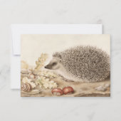 Een egel in een landschap door Giovanna Garzoni Bedankkaart (Voorkant)