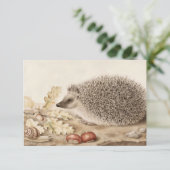 Een egel in een landschap door Giovanna Garzoni Bedankkaart (Staand voorkant)