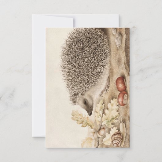 Een egel in een landschap door Giovanna Garzoni Bedankkaart (Achterkant)