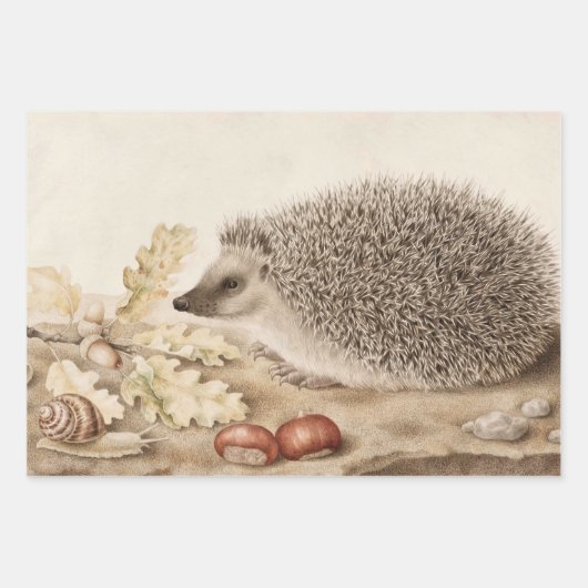 Een egel in een landschap door Giovanna Garzoni Inpakpapier Vel (Voorkant 3)