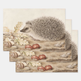 Een egel in een landschap door Giovanna Garzoni Inpakpapier Vel