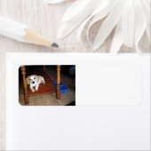 Een eigen plek etiket (Insitu)