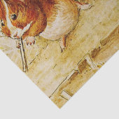 Een eigen proeftuin van Beatrix Potter Tissuepapier (Detail)