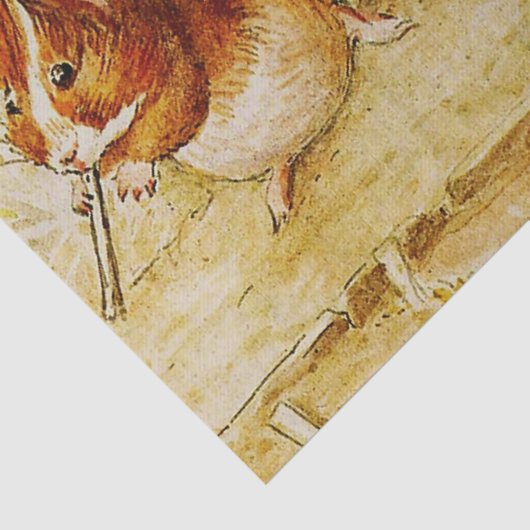 Een eigen proeftuin van Beatrix Potter Tissuepapier (Detail)