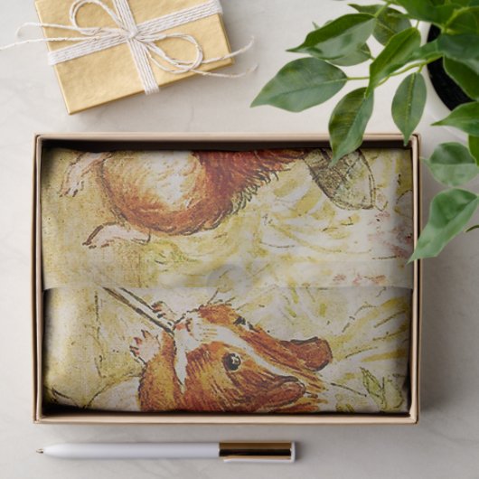 Een eigen proeftuin van Beatrix Potter Tissuepapier (Geschenk)