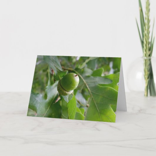 een eikel kaart (Voorkant)