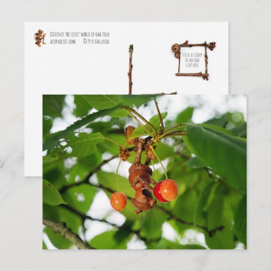 Een eikelelf eet kersen als een vleermuis briefkaart (Voorkant / Achterkant)