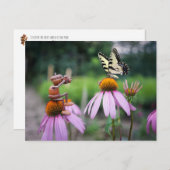 Een eikelelf neemt een afbeelding van een vlinder briefkaart (Voorkant / Achterkant)