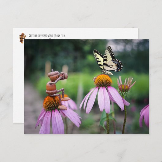 Een eikelelf neemt een afbeelding van een vlinder briefkaart (Voorkant / Achterkant)