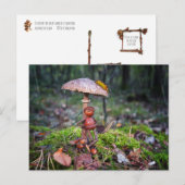 Een eikelelf verbergt zich onder een paddenstoel m briefkaart (Voorkant / Achterkant)