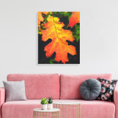 Een eikenblad in Six Rivers National Forrest Canvas Afdruk (Insitu (Woonkamer))