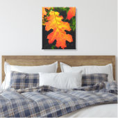 Een eikenblad in Six Rivers National Forrest Canvas Afdruk (Insitu (Slaapkamer))