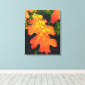 Een eikenblad in Six Rivers National Forrest Canvas Afdruk (Insitu (Houten vloer))