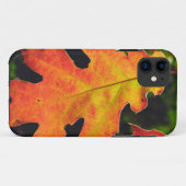 Een eikenblad in Six Rivers National Forrest Case-Mate iPhone Case (Achterkant (horizontaal))