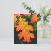 Een eikenblad in zes rivieren in de nationale boss briefkaart (Staand voorkant)