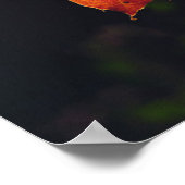 Een eikenblad in zes rivieren in de nationale boss poster (Hoek)