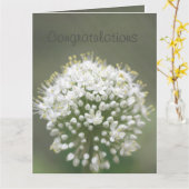 Een elegante felicitatie kaart (Gele Bloem)