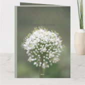 Een elegante felicitatie kaart (Achterkant)