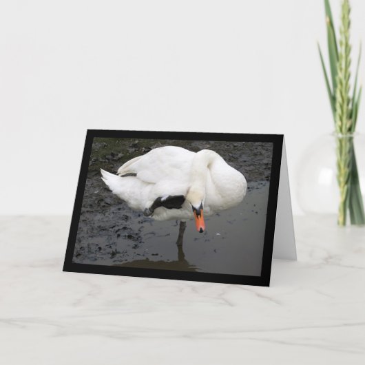 Een Elegante Groet Kaart (Voorkant)