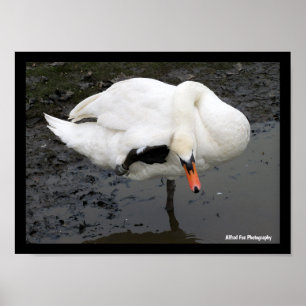 Een Elegante Groet Poster