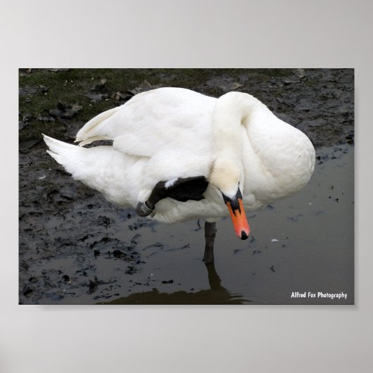 Een Elegante Groet Poster (Voorkant)