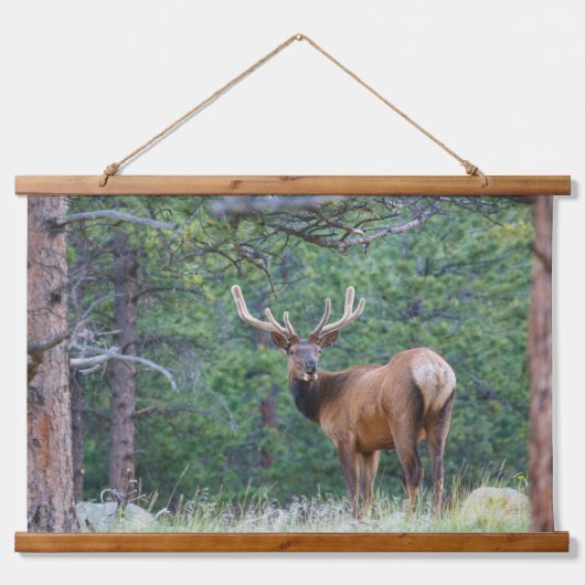 Een Elk terugkijkend | Rocky Mountains Hangend Wandkleed (Voorkant)