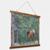 Een Elk terugkijkend | Rocky Mountains Hangend Wandkleed (Gebogen)