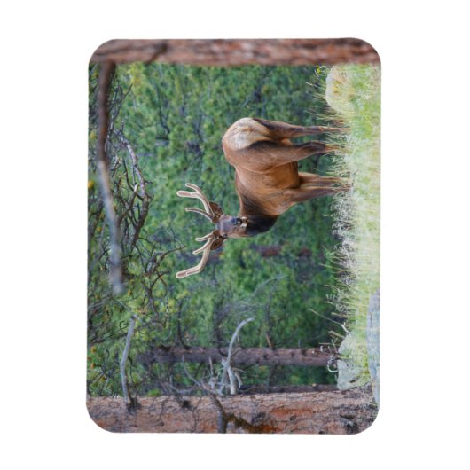 Een Elk terugkijkend | Rocky Mountains Magneet (Verticaal)