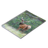 Een Elk terugkijkend | Rocky Mountains Notitieboek (Linkerzijde)