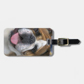 Een Engelse buldog in België. Bagagelabel (Voorkant horizontaal)