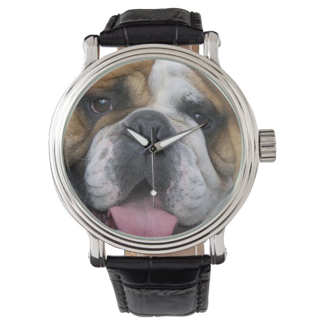 Een Engelse buldog in België. Horloge (Voorkant)