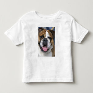 Een Engelse buldog in België. Kinder Shirts