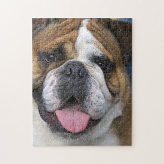 Een Engelse buldog in België Legpuzzel (Verticaal)