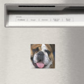 Een Engelse buldog in België. Magneet (Insitu (Vaatwasser))