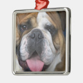 Een Engelse buldog in België. Metalen Ornament (Links)