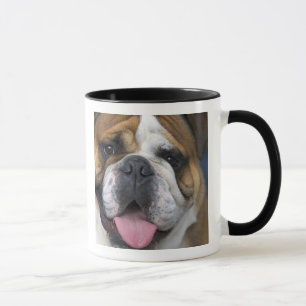 Een Engelse buldog in België. Mok