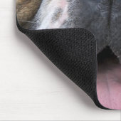 Een Engelse buldog in België. Muismat (Hoek)